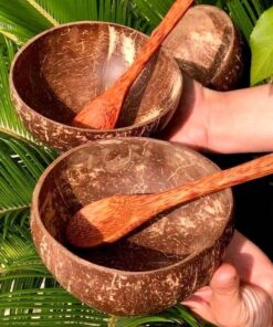 bát gáo dừa tự nhiên bến tre